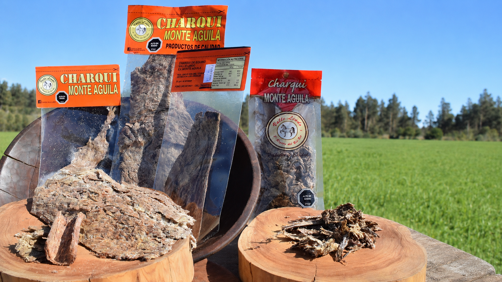 Fábrica de charqui Monte Águila — mesa con charqui, empaques y paisaje