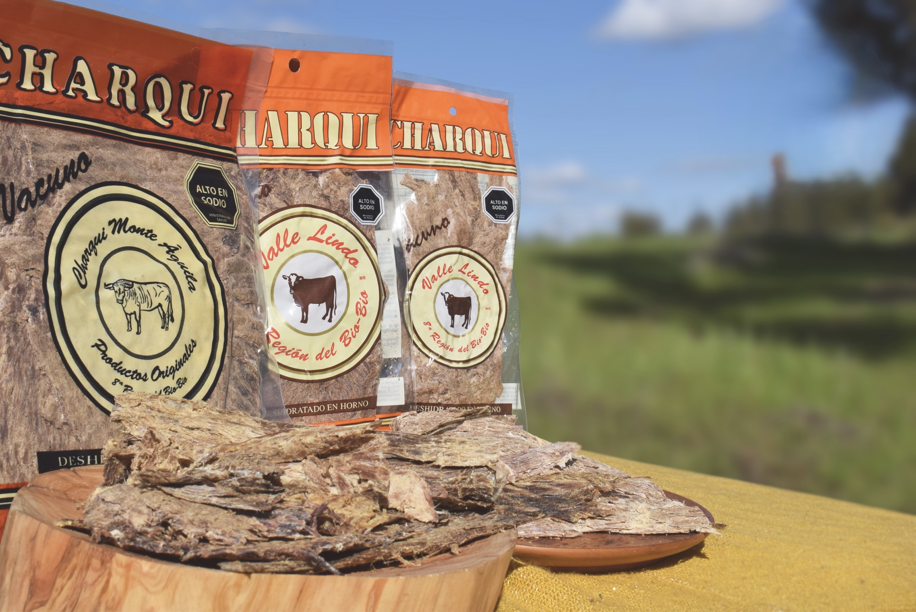 Charqui vacuno Monte Águila — empaque, producto y paisaje de Valle Lindo